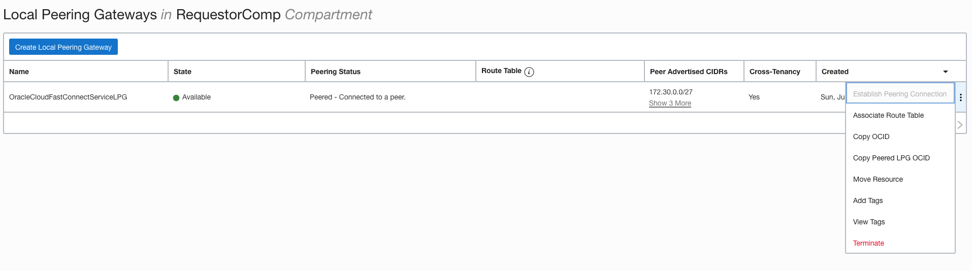 ../_images/OracleCloud-LPG-05.png